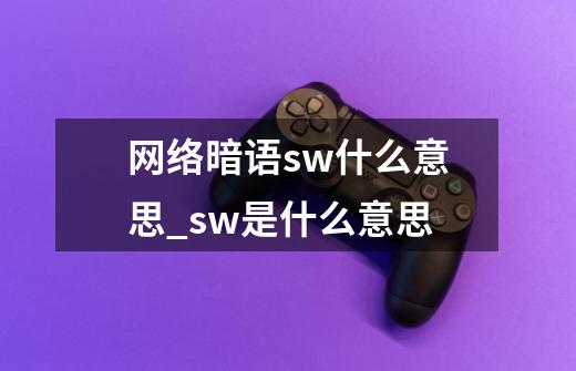 网络暗语sw什么意思_sw是什么意思-第1张-游戏资讯-神采网