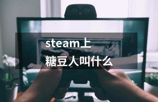 steam上糖豆人叫什么-第1张-游戏资讯-神采网